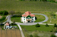 Forg�ch Basement
